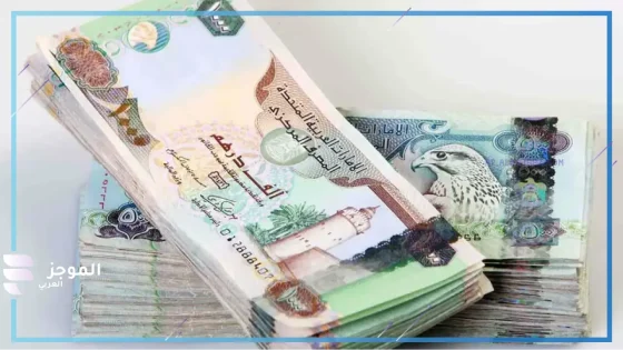 سعر الدرهم أمام الجنيه المصري يوم الأربعاء 30 أكتوبر / تشرين الأول 2024