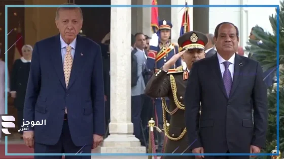 السيسى وأوردوغان