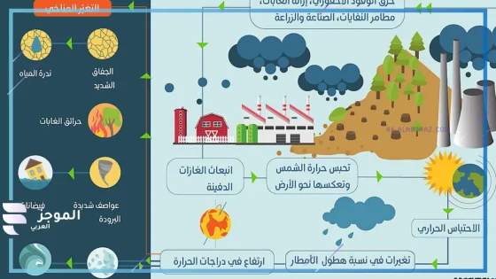 الجازان