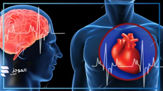 3 أطعمة تبدو غير صحية تحمي من أمراض القلب والدماغ والشيخوخة … وأخرى مضرة لها