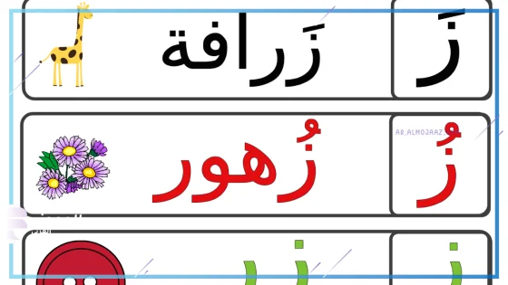 أسماء جماد بحرف الزين ز معروف بالمعلومات