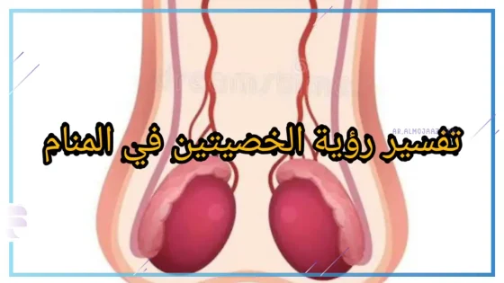 تفسير حلم رؤية الخصيتين في المنام للعزباء والمتزوجة لابن سيرين