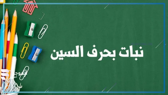 اسم نبات بحرف السين، نباتات تبدأ بحرف س