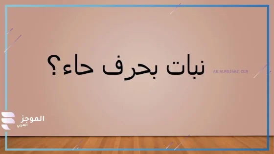 اسم نبات بحرف ح، أسماء نبات يبدأ بحرف الحاء