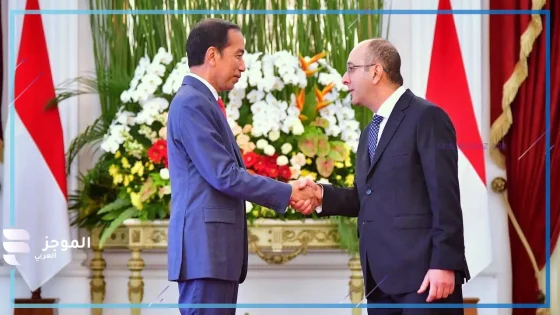 السيسي يستقبل الرئيس الإندونيسي لتعزيز العلاقات بين مصر وإندونيسيا