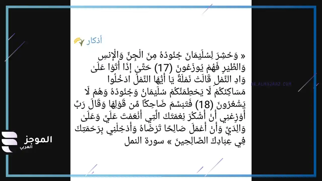 الدعاء الذي يطرد النمل من البيت