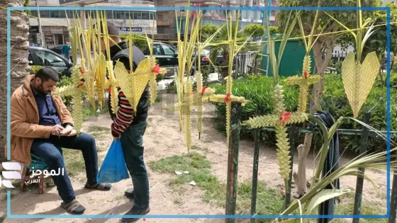 احتفالاً بأحد السعف.. سعف النخيل في شوارع قنا بمناسبة ذكرى دخول المسيح
