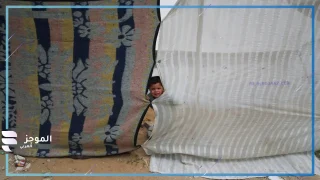 طفل نازح من قطاع غزة