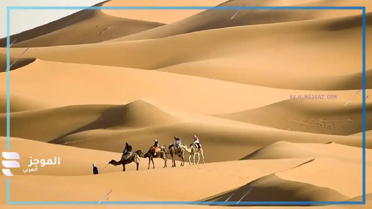 هل الأكلبي قحطاني