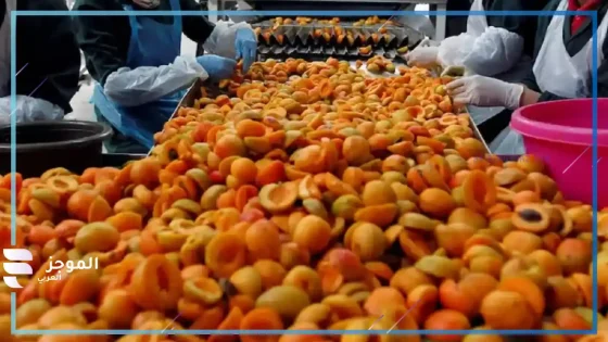 تفسير اكل المشمش في المنام لابن سيرين